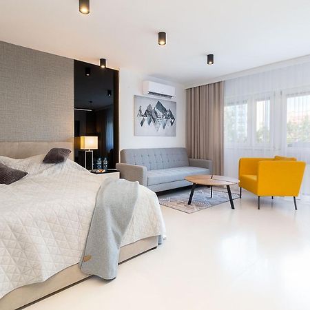 Studio Silesian Vip City Centrum Free Parking Zabrze Kültér fotó