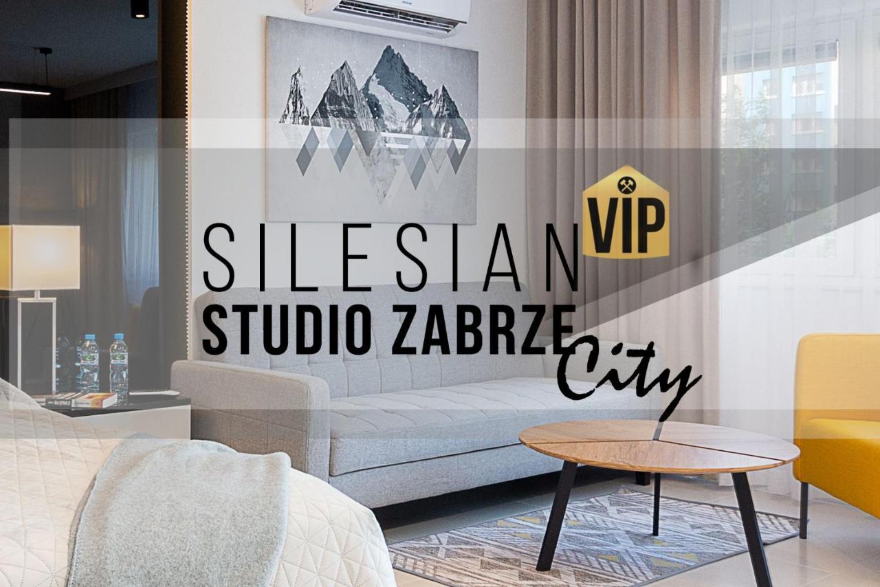Studio Silesian Vip City Centrum Free Parking Zabrze Kültér fotó